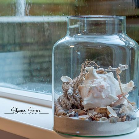 Carpe Diem Egmond Aan Zee By Urban Home Stay Экстерьер фото